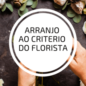 woocommerce fotos (13)